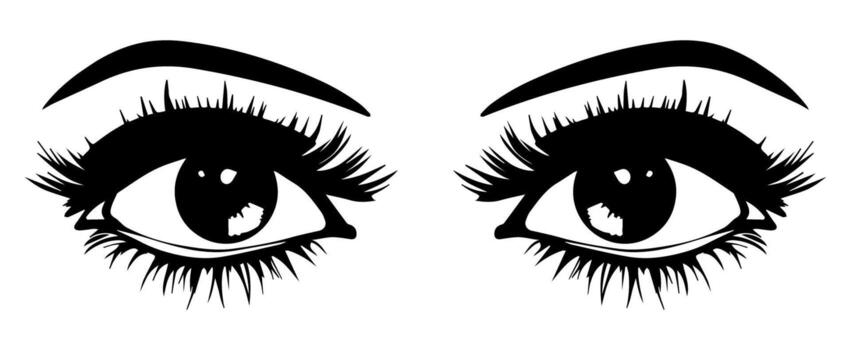 pair of eyes with eyebrows eyelashes vector graphic resources