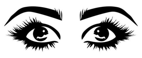 pair of eyes with eyebrows eyelashes vector graphic resources