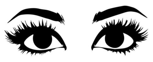 pair of eyes with eyebrows eyelashes vector graphic resources