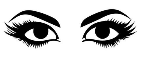 pair of eyes with eyebrows eyelashes vector graphic resources