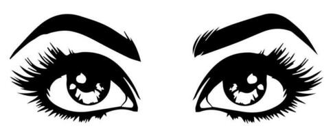 pair of eyes with eyebrows eyelashes vector graphic resources