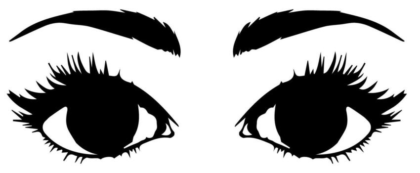 pair of eyes with eyebrows eyelashes vector graphic resources