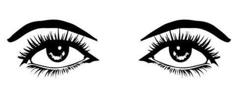 pair of eyes with eyebrows eyelashes vector graphic resources
