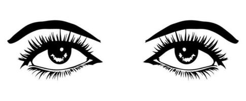 pair of eyes with eyebrows eyelashes vector graphic resources