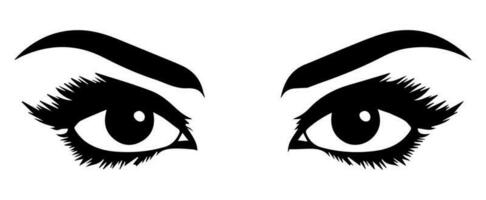 pair of eyes with eyebrows eyelashes vector graphic resources