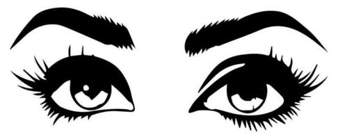 pair of eyes with eyebrows eyelashes vector graphic resources