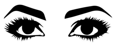 pair of eyes with eyebrows eyelashes vector graphic resources