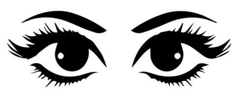 pair of eyes with eyebrows eyelashes vector graphic resources