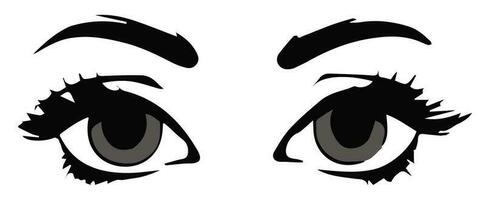 pair of eyes with eyebrows eyelashes vector graphic resources