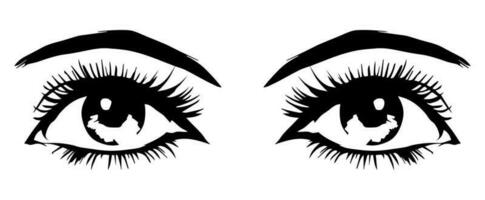 pair of eyes with eyebrows eyelashes vector graphic resources