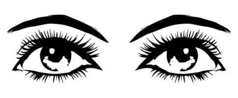 pair of eyes with eyebrows eyelashes vector graphic resources