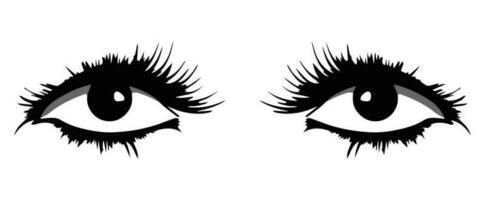 pair of eyes with eyebrows eyelashes vector graphic resources