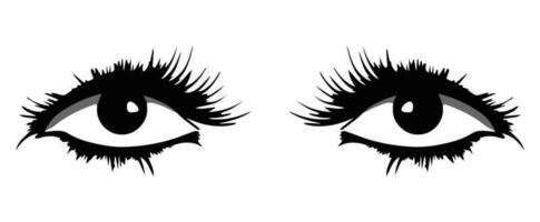 pair of eyes with eyebrows eyelashes vector graphic resources