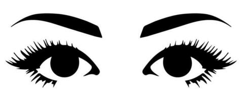 pair of eyes with eyebrows eyelashes vector graphic resources