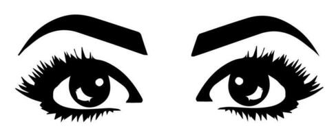 pair of eyes with eyebrows eyelashes vector graphic resources