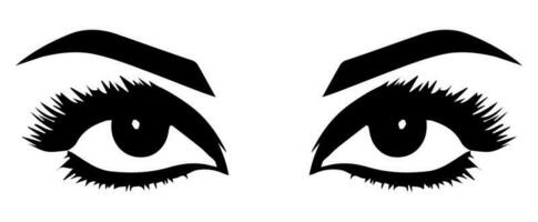 pair of eyes with eyebrows eyelashes vector graphic resources