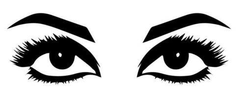 pair of eyes with eyebrows eyelashes vector graphic resources