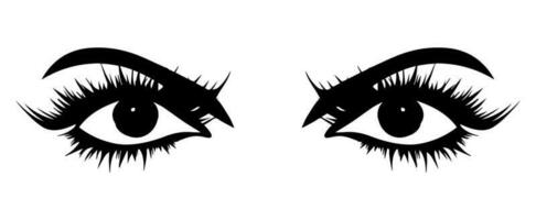 pair of eyes with eyebrows eyelashes vector graphic resources