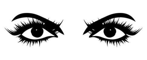 pair of eyes with eyebrows eyelashes vector graphic resources