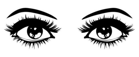 pair of eyes with eyebrows eyelashes vector graphic resources