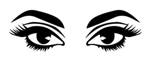 pair of eyes with eyebrows eyelashes vector graphic resources