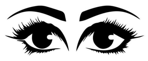 pair of eyes with eyebrows eyelashes vector graphic resources