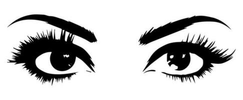 pair of eyes with eyebrows eyelashes vector graphic resources