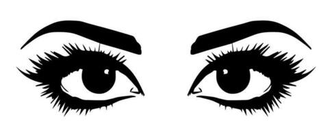 pair of eyes with eyebrows eyelashes vector graphic resources