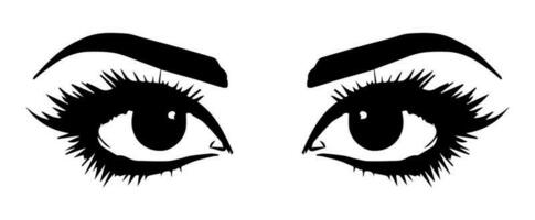 pair of eyes with eyebrows eyelashes vector graphic resources