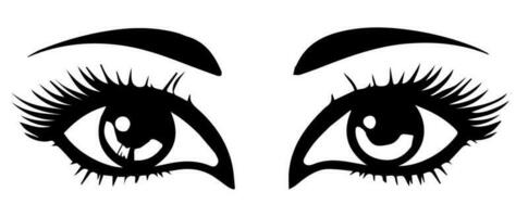 pair of eyes with eyebrows eyelashes vector graphic resources