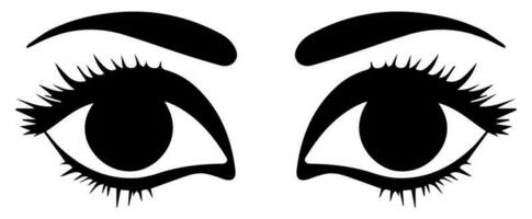 pair of eyes with eyebrows eyelashes vector graphic resources
