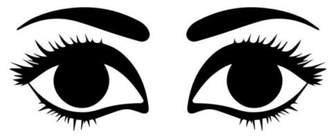 pair of eyes with eyebrows eyelashes vector graphic resources