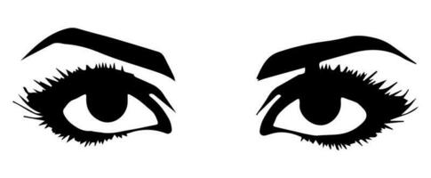 pair of eyes with eyebrows eyelashes vector graphic resources