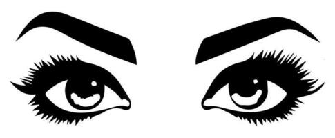 pair of eyes with eyebrows eyelashes vector graphic resources