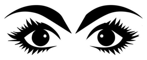 pair of eyes with eyebrows eyelashes vector graphic resources