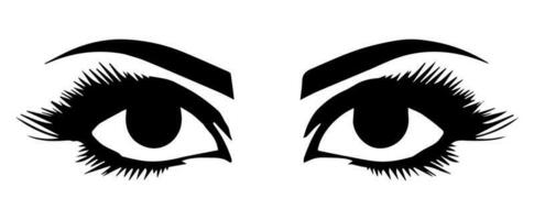 pair of eyes with eyebrows eyelashes vector graphic resources