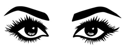 pair of eyes with eyebrows eyelashes vector graphic resources