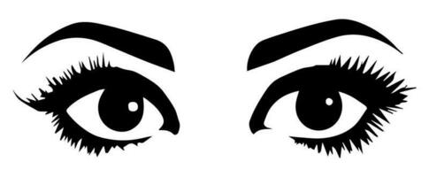 pair of eyes with eyebrows eyelashes vector graphic resources