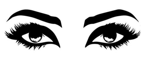 pair of eyes with eyebrows eyelashes vector graphic resources