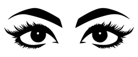 pair of eyes with eyebrows eyelashes vector graphic resources