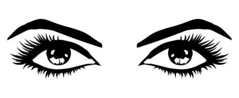 pair of eyes with eyebrows eyelashes vector graphic resources