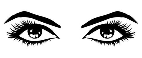 pair of eyes with eyebrows eyelashes vector graphic resources