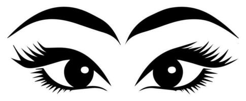 pair of eyes with eyebrows eyelashes vector graphic resources