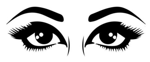 pair of eyes with eyebrows eyelashes vector graphic resources