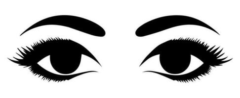 pair of eyes with eyebrows eyelashes vector graphic resources