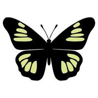 Butterfly beautiful wings, spring nature, vector illustration