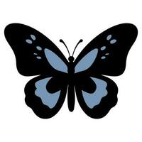 Butterfly beautiful wings, spring nature, vector illustration