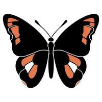 mariposa hermosa alas, primavera naturaleza, vector ilustración