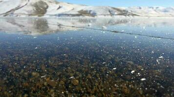 banquise la glace feuille sur congelé l'eau surface dans du froid hiver temps video