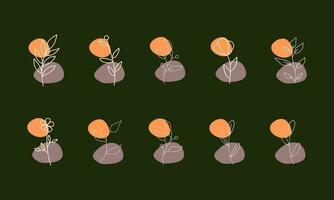 Set of leaf elements illustration. Leaves elements illustration. Collections of leaf element isolated on green background. vector